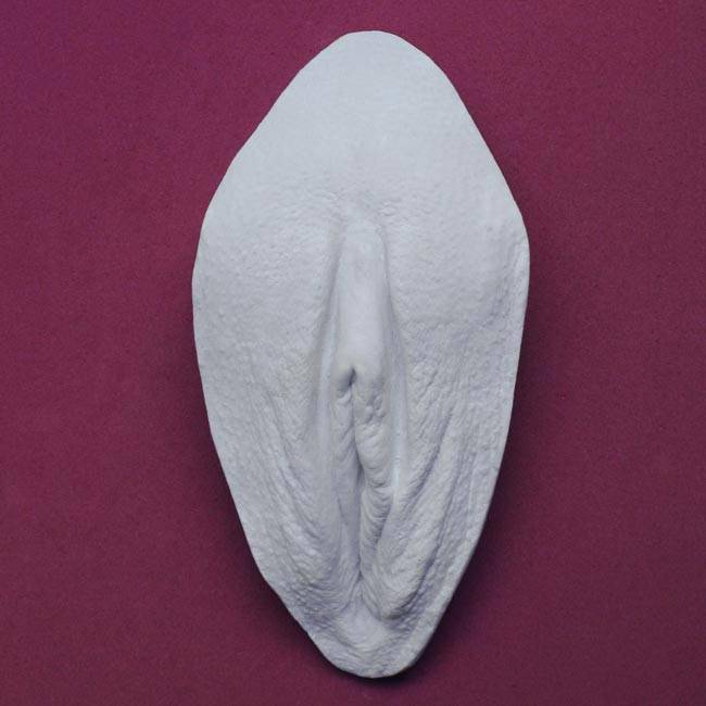 Machen vagina selber Vulva Vagina
