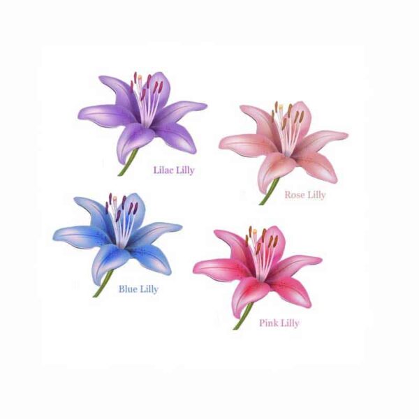 Motivfolie für Babybauchabdrücke mit Lilien Motiven in 4 Farben zur Auswahl