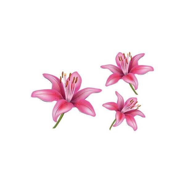 3 Lilien Motivfolie pink