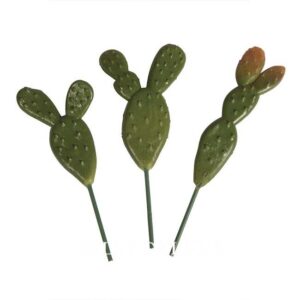 Mini Pflanze Feigenkaktus 3 Stück