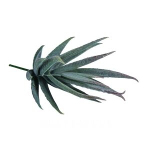 Kleine Aloe Pflanze aus Plastik