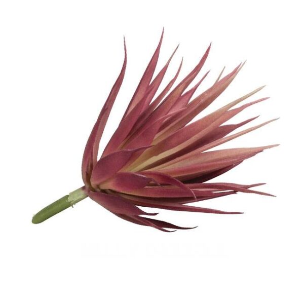 Mini Yucca Pflanze aus Plastik
