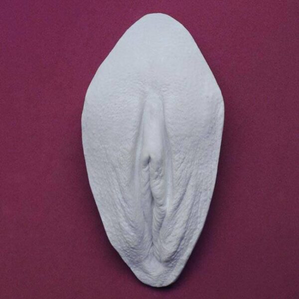 Vulva Abdruck aus Gips