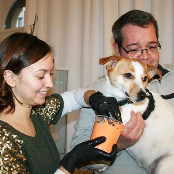 3d Pfotenabdruck von Hund machen