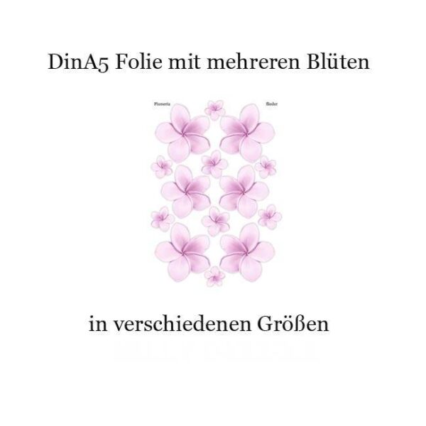 Motivfolie Pastell Plumeria, 6 Farben – Bild 2